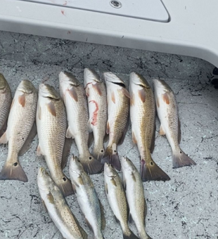 Where every day is a fishing day in Texas.